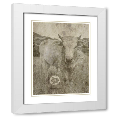 Country Farm White Modern Wood Framed Art Print with Double Matting by Phillip, Jamie