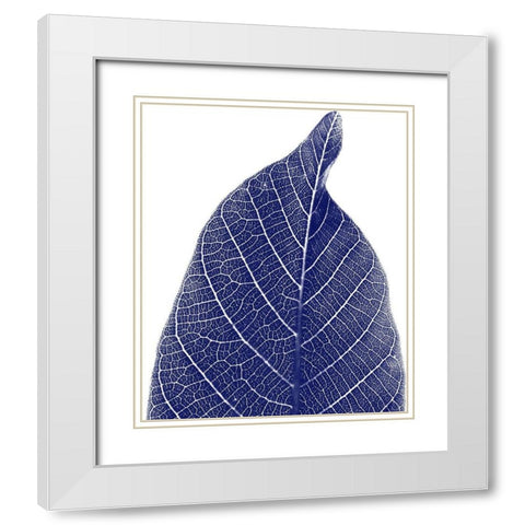 Indigo Half 1 White Modern Wood Framed Art Print with Double Matting by Phillip, Jamie