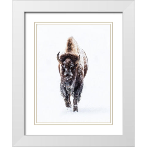 Journey White Modern Wood Framed Art Print with Double Matting by Phillip, Jamie