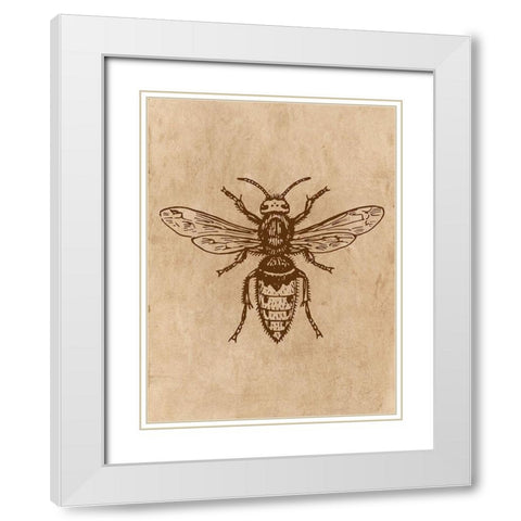 Specimen 1 White Modern Wood Framed Art Print with Double Matting by Phillip, Jamie