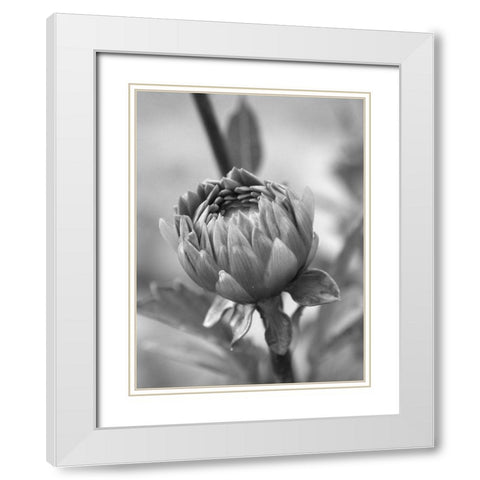 Rear View White Modern Wood Framed Art Print with Double Matting by Phillip, Jamie