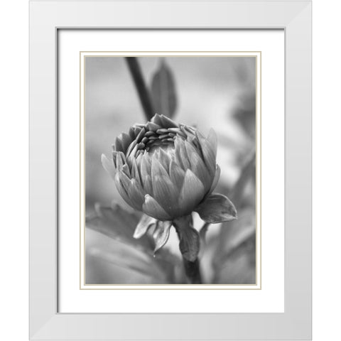 Rear View White Modern Wood Framed Art Print with Double Matting by Phillip, Jamie