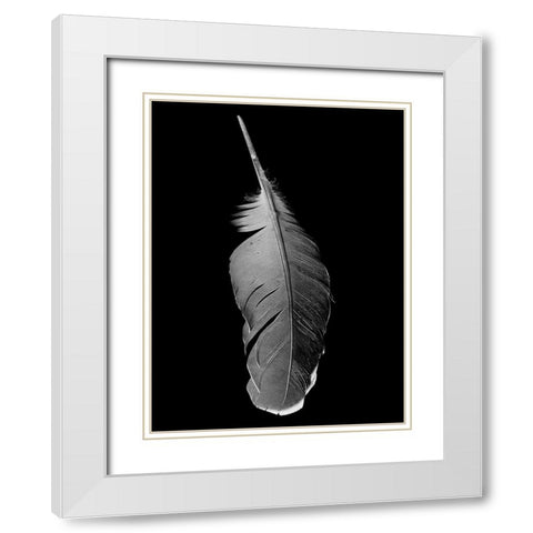 Black Flight White Modern Wood Framed Art Print with Double Matting by Phillip, Jamie
