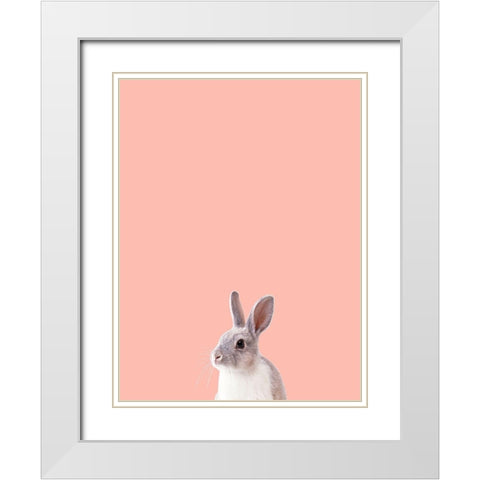 Bunny White Modern Wood Framed Art Print with Double Matting by Phillip, Jamie