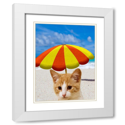 Beach Cat White Modern Wood Framed Art Print with Double Matting by Phillip, Jamie