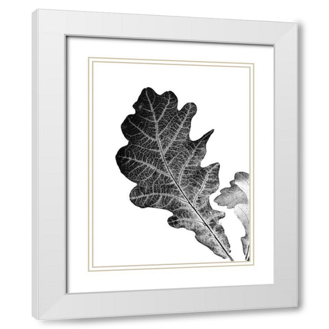 Shaded Leaf 2 White Modern Wood Framed Art Print with Double Matting by Phillip, Jamie