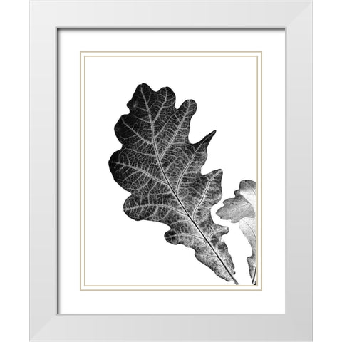 Shaded Leaf 2 White Modern Wood Framed Art Print with Double Matting by Phillip, Jamie