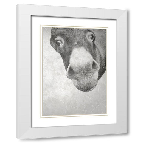 Farm Donkey White Modern Wood Framed Art Print with Double Matting by Phillip, Jamie