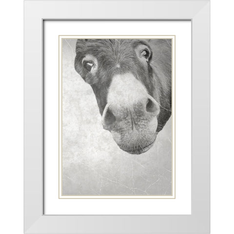 Farm Donkey White Modern Wood Framed Art Print with Double Matting by Phillip, Jamie