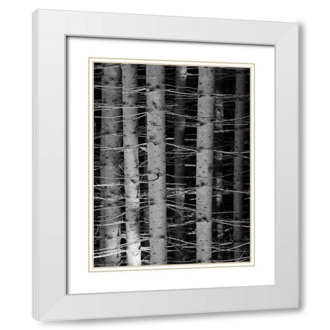 Dark Woods White Modern Wood Framed Art Print with Double Matting by Phillip, Jamie