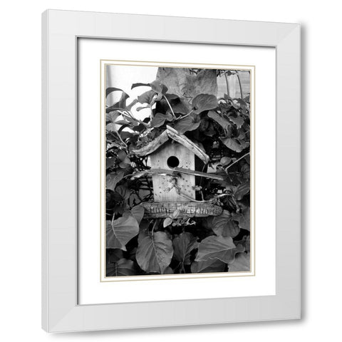 Bird House White Modern Wood Framed Art Print with Double Matting by Phillip, Jamie