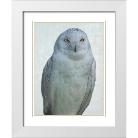 Owlways White Modern Wood Framed Art Print with Double Matting by Phillip, Jamie