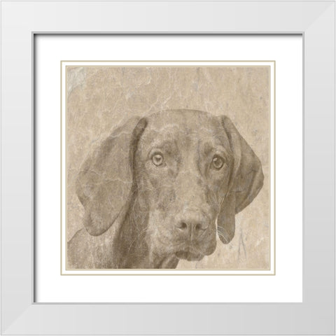 Puppylove White Modern Wood Framed Art Print with Double Matting by Phillip, Jamie