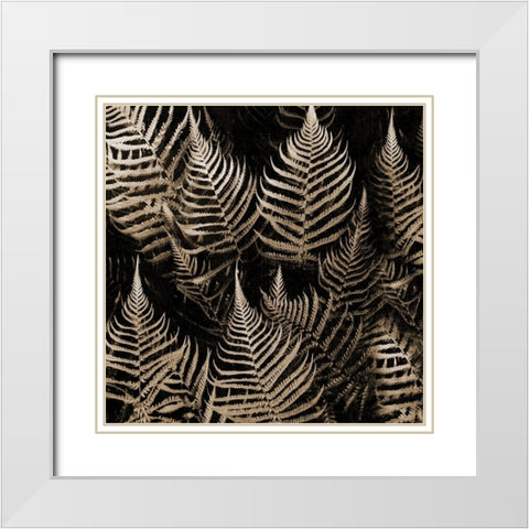 Natural Midnight White Modern Wood Framed Art Print with Double Matting by Phillip, Jamie
