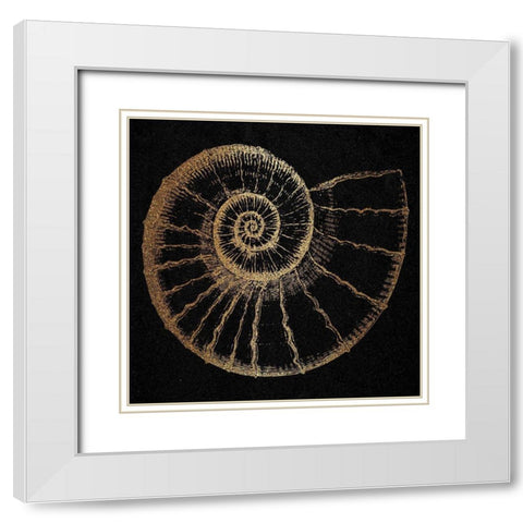 Gold Shell 2 White Modern Wood Framed Art Print with Double Matting by Phillip, Jamie