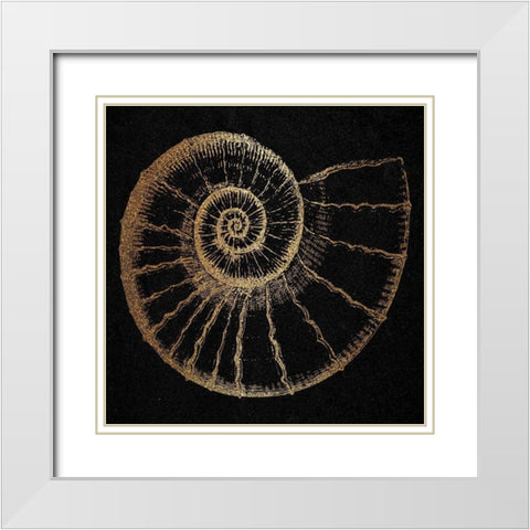 Gold Shell 2 White Modern Wood Framed Art Print with Double Matting by Phillip, Jamie