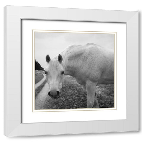 White Enchantment White Modern Wood Framed Art Print with Double Matting by Phillip, Jamie