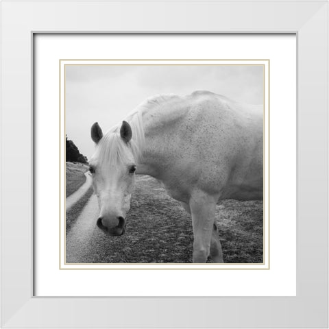White Enchantment White Modern Wood Framed Art Print with Double Matting by Phillip, Jamie