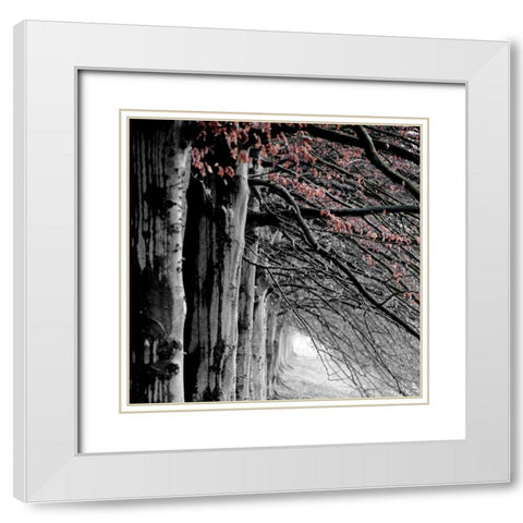 BW and Color White Modern Wood Framed Art Print with Double Matting by Phillip, Jamie