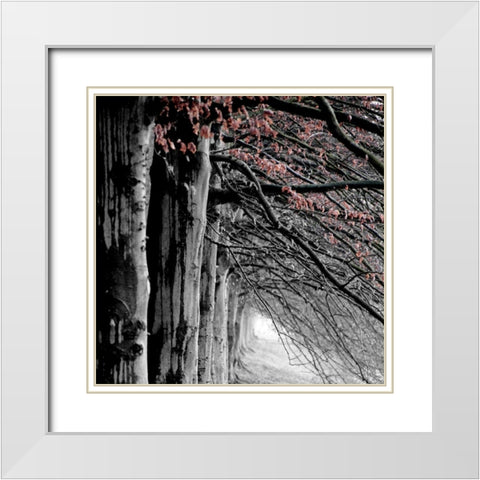 BW and Color White Modern Wood Framed Art Print with Double Matting by Phillip, Jamie