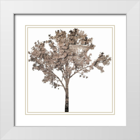 Wooded White Modern Wood Framed Art Print with Double Matting by Phillip, Jamie