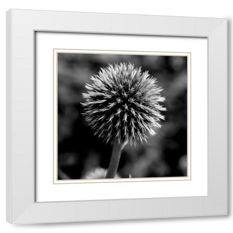 Morning Due 1 White Modern Wood Framed Art Print with Double Matting by Phillip, Jamie