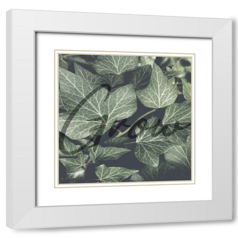 Green Garden White Modern Wood Framed Art Print with Double Matting by Phillip, Jamie