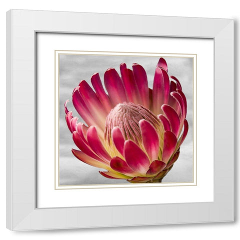 Floral Poetry White Modern Wood Framed Art Print with Double Matting by Phillip, Jamie