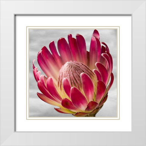 Floral Poetry White Modern Wood Framed Art Print with Double Matting by Phillip, Jamie