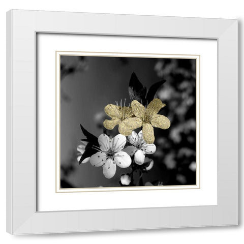 Black and Gold Beauty 1 White Modern Wood Framed Art Print with Double Matting by Phillip, Jamie