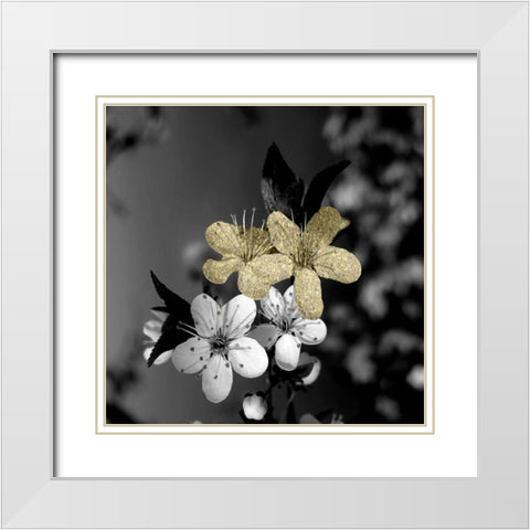 Black and Gold Beauty 1 White Modern Wood Framed Art Print with Double Matting by Phillip, Jamie