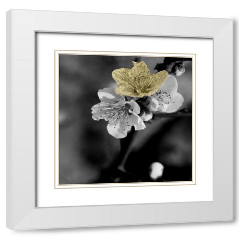 Black and Gold Beauty 2 White Modern Wood Framed Art Print with Double Matting by Phillip, Jamie