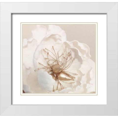 Bellarosa White Modern Wood Framed Art Print with Double Matting by Phillip, Jamie