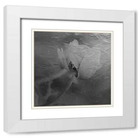 Paint Textured Rose White Modern Wood Framed Art Print with Double Matting by Phillip, Jamie
