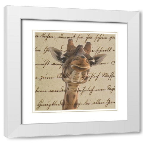 Geraffity White Modern Wood Framed Art Print with Double Matting by Phillip, Jamie