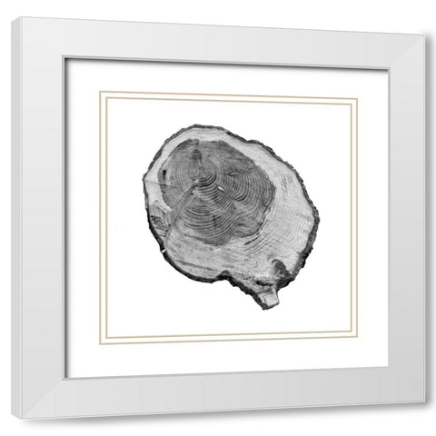 Old Rings White Modern Wood Framed Art Print with Double Matting by Phillip, Jamie