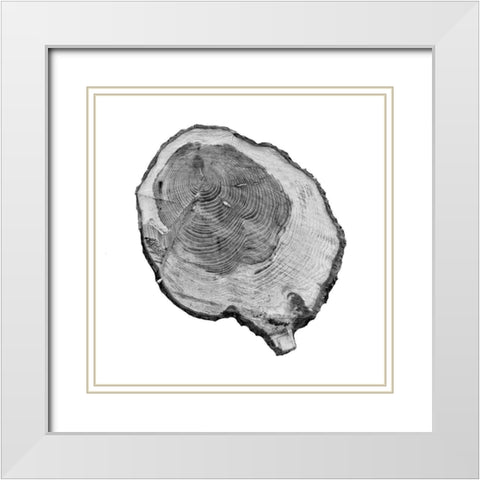 Old Rings White Modern Wood Framed Art Print with Double Matting by Phillip, Jamie