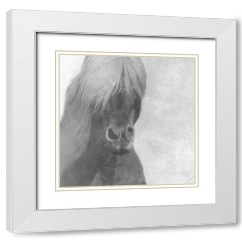 Wise Pony White Modern Wood Framed Art Print with Double Matting by Phillip, Jamie