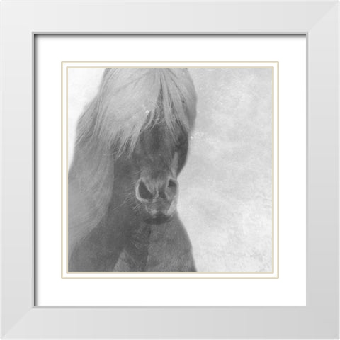 Wise Pony White Modern Wood Framed Art Print with Double Matting by Phillip, Jamie