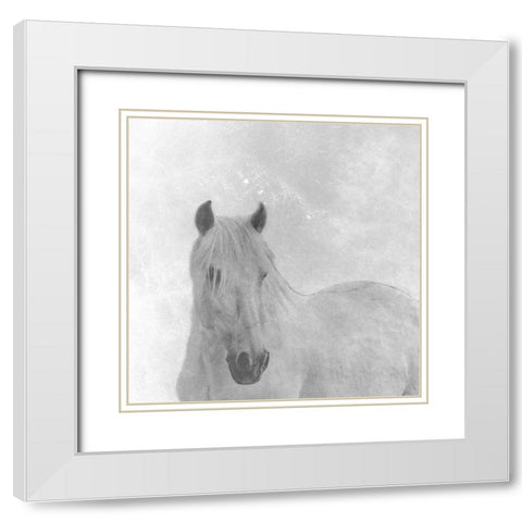 Wise Horse White Modern Wood Framed Art Print with Double Matting by Phillip, Jamie