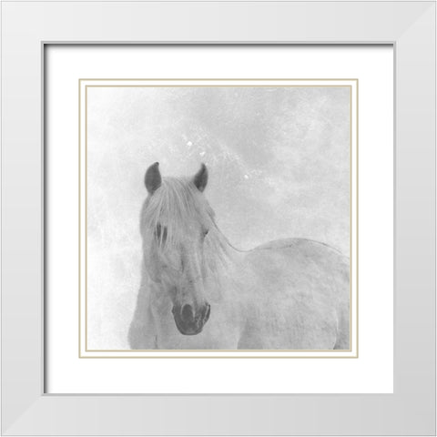 Wise Horse White Modern Wood Framed Art Print with Double Matting by Phillip, Jamie