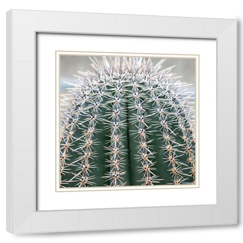 Prickly Bulb 3 White Modern Wood Framed Art Print with Double Matting by Phillip, Jamie