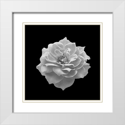 Spntain White Modern Wood Framed Art Print with Double Matting by Phillip, Jamie