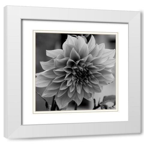 Dagenuem White Modern Wood Framed Art Print with Double Matting by Phillip, Jamie