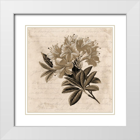 Love Letter White Modern Wood Framed Art Print with Double Matting by Phillip, Jamie