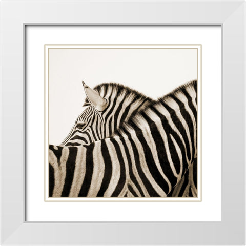 Savana White Modern Wood Framed Art Print with Double Matting by Phillip, Jamie