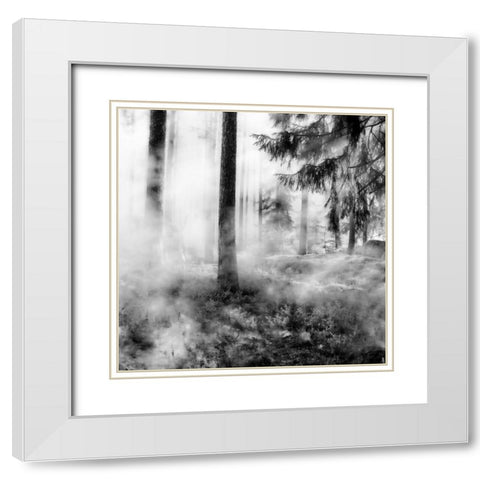 Black Forest White Modern Wood Framed Art Print with Double Matting by Phillip, Jamie