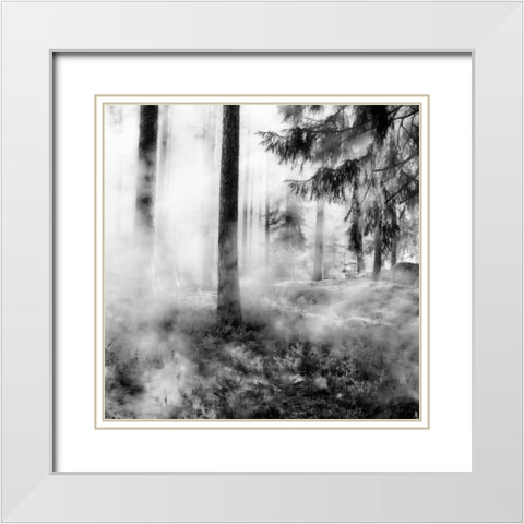 Black Forest White Modern Wood Framed Art Print with Double Matting by Phillip, Jamie