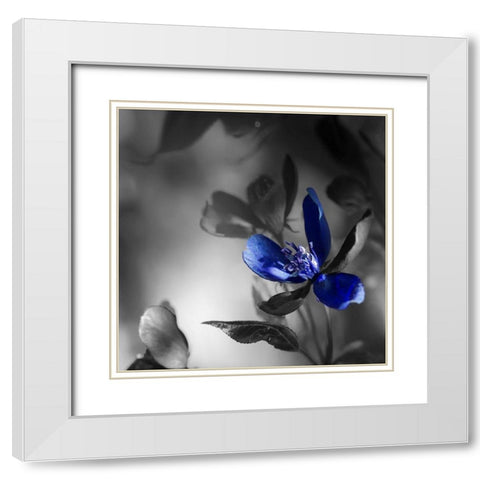 Blues White Modern Wood Framed Art Print with Double Matting by Phillip, Jamie