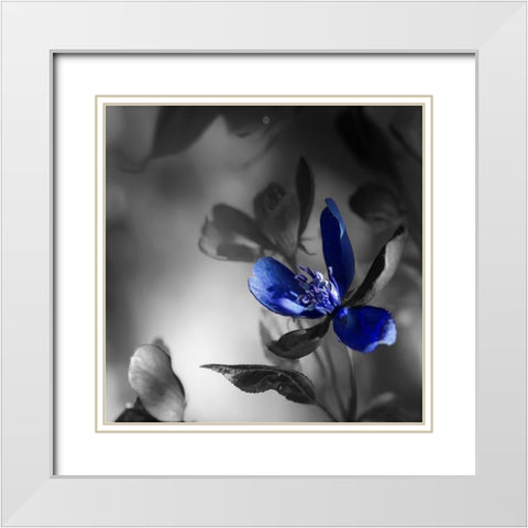 Blues White Modern Wood Framed Art Print with Double Matting by Phillip, Jamie